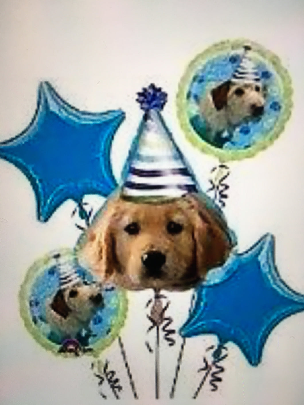 Birthday Party Puppy Balloon Bouquet